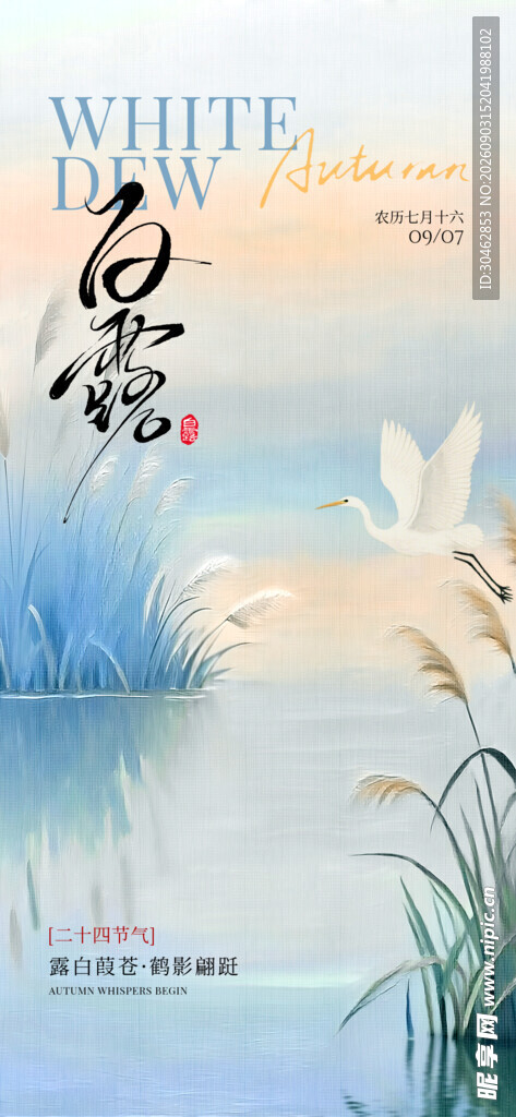 白露节气海报