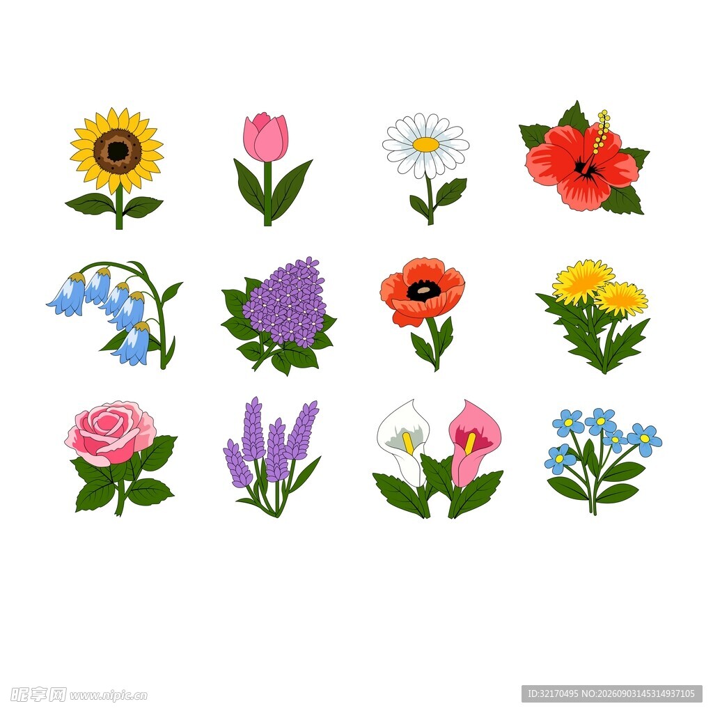 卡通花卉合集
