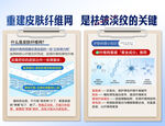 皮肤纤维与蜘蛛痣关键信息