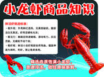 小龙虾商品知识