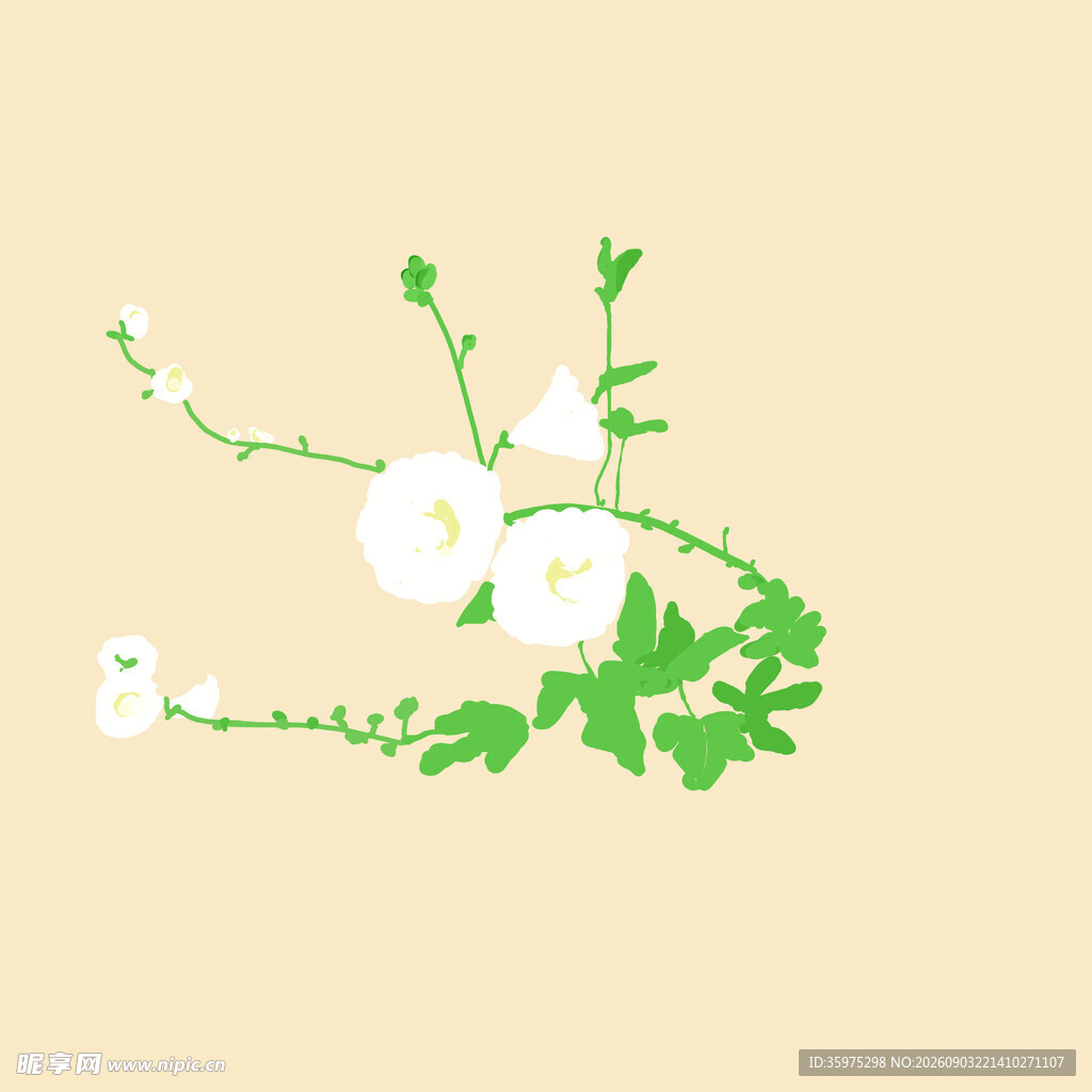 白色小花枝插画