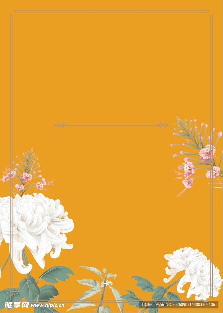 菊花边框背景
