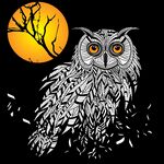 月夜猫头鹰插画