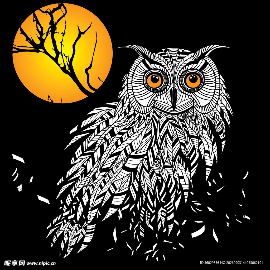 月夜猫头鹰插画