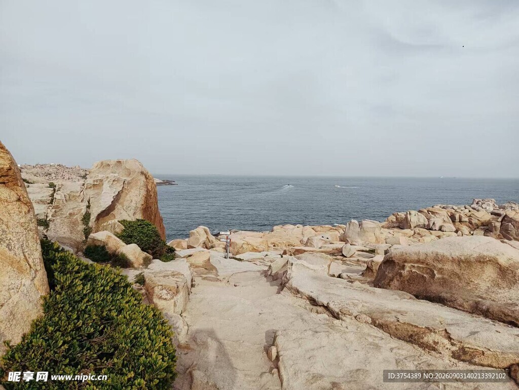海边嶙峋岩石与绿植景观