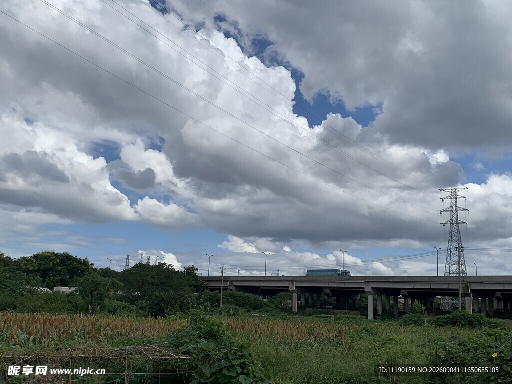 夏季郊外