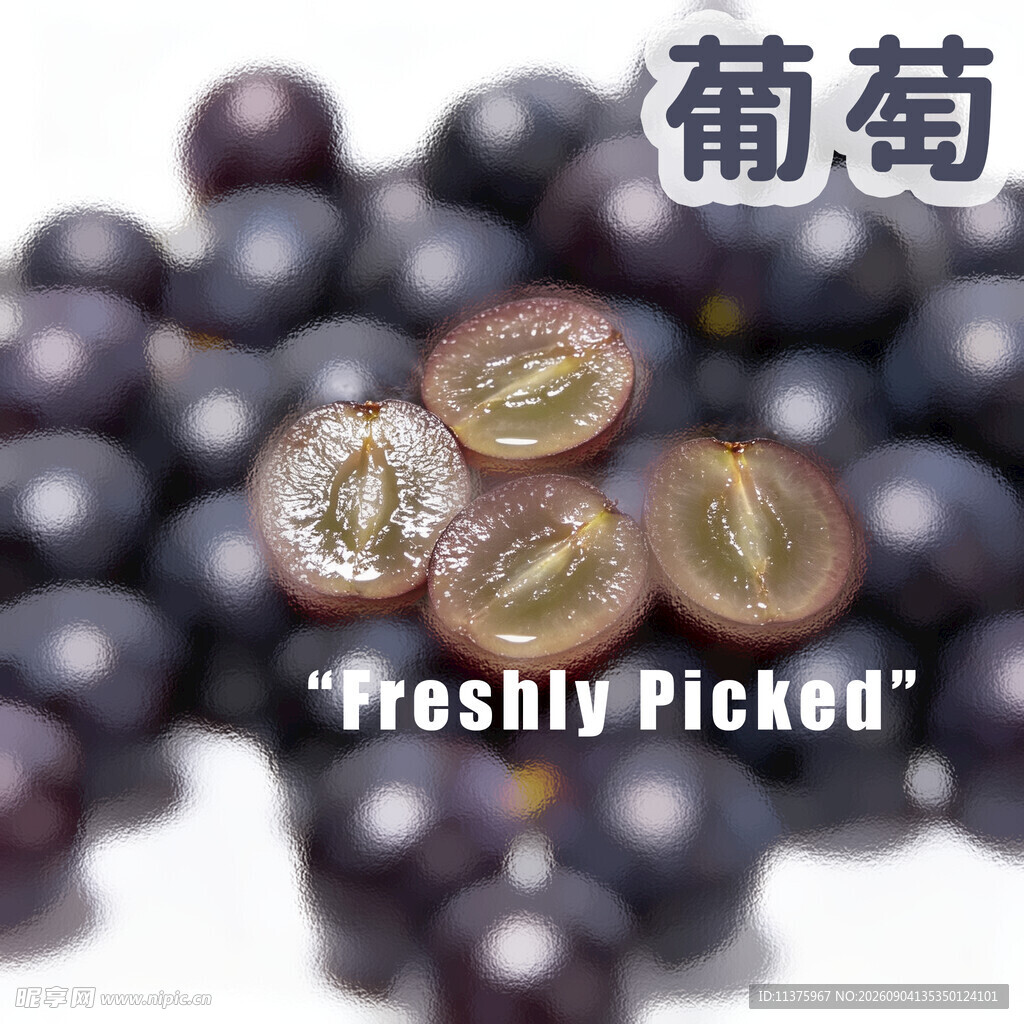 新鲜采摘的紫葡萄
