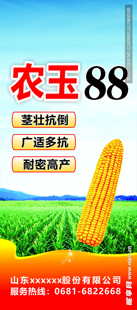 农玉88玉米种子宣传图
