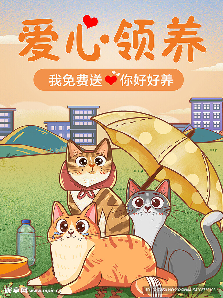 爱心领养  萌猫等你带回家