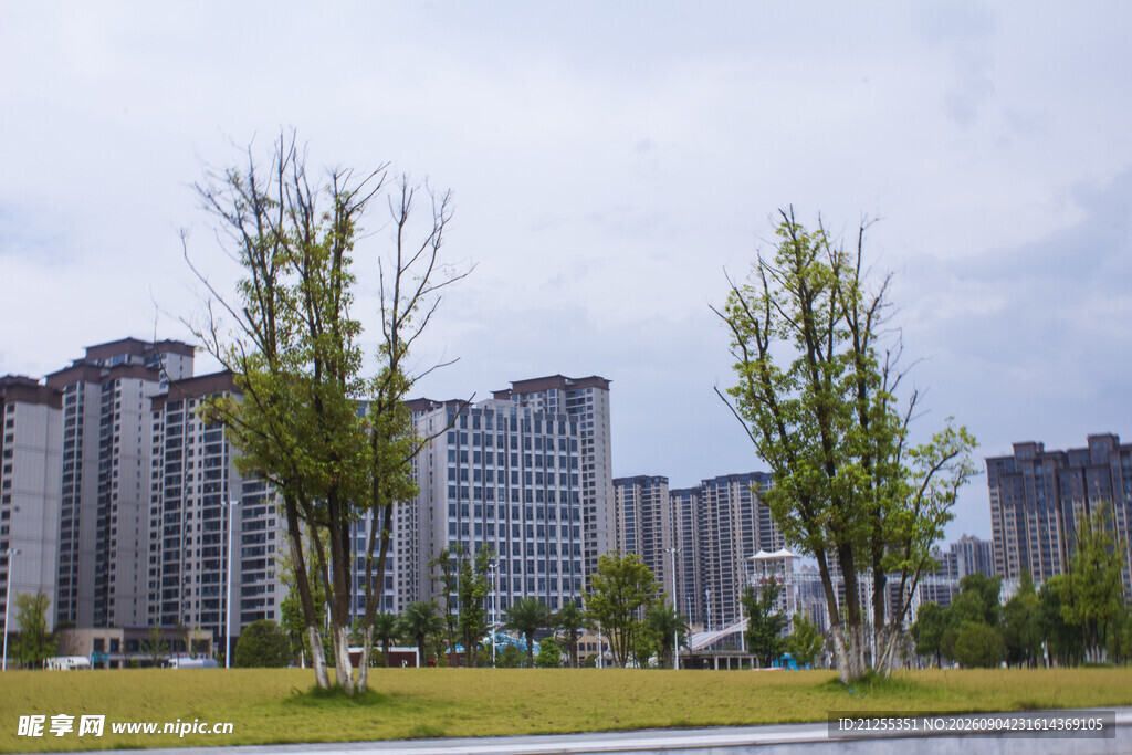 城市高楼旁的绿意景观