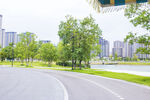 城市中的宁静弯曲道路景观
