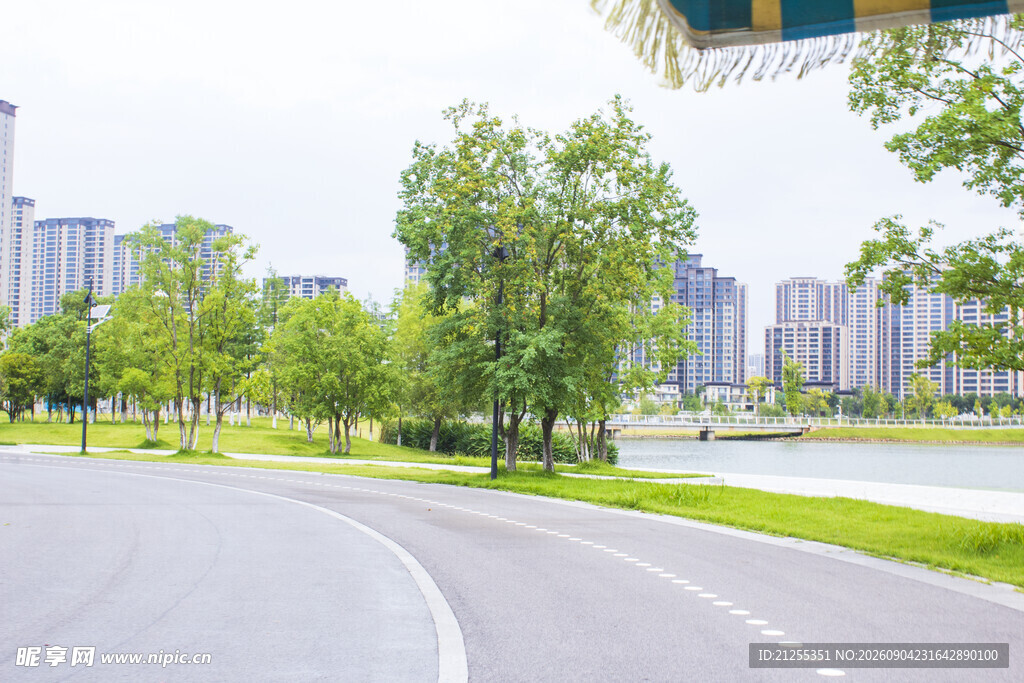 城市中的宁静弯曲道路景观