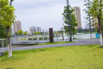 城市河畔公园绿意景致