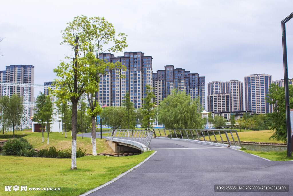 城市中的静谧道路与绿植