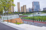 城市河畔的美丽景观