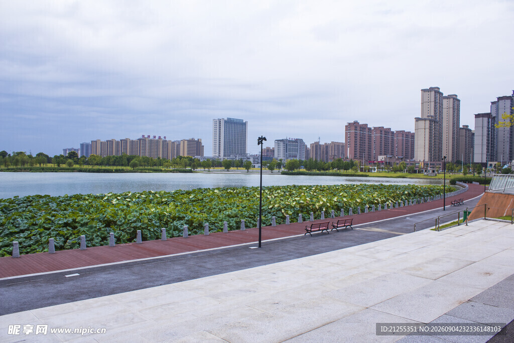 城市湖畔景观