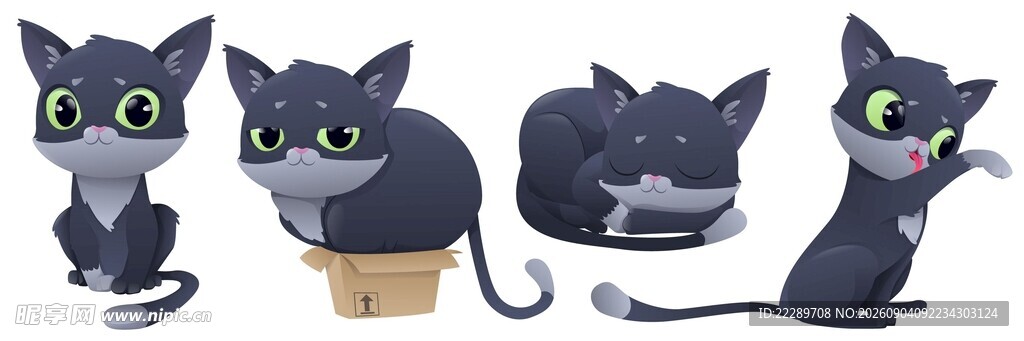 可爱黑猫多视角形象展示