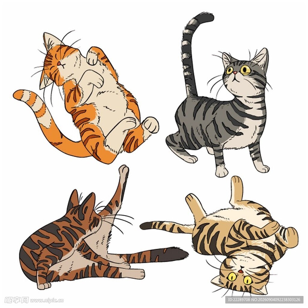 四只萌猫的趣味姿态