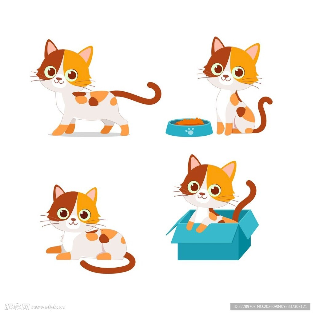 可爱猫咪的多样趣味瞬间