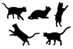 猫咪动态剪影