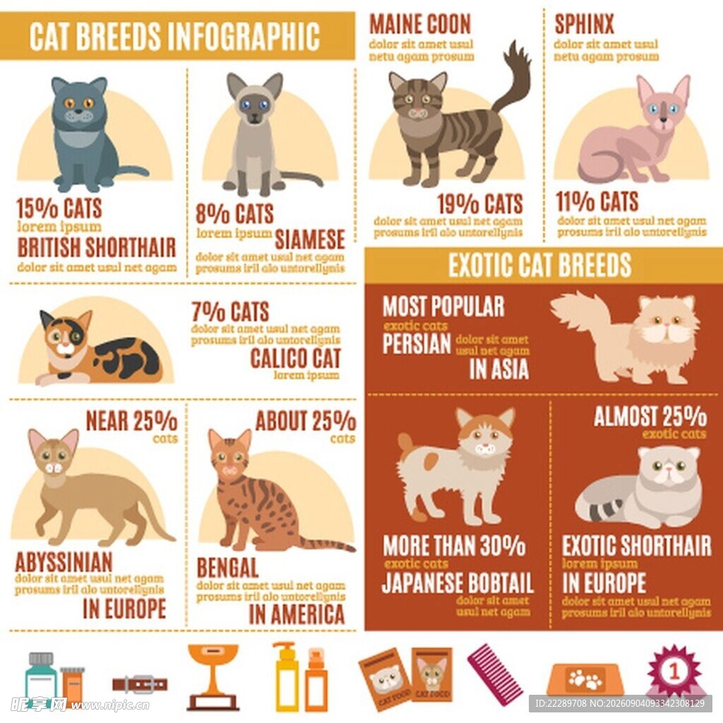 猫咪品种及护理信息图表