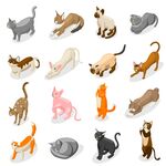 多样猫咪插画集合
