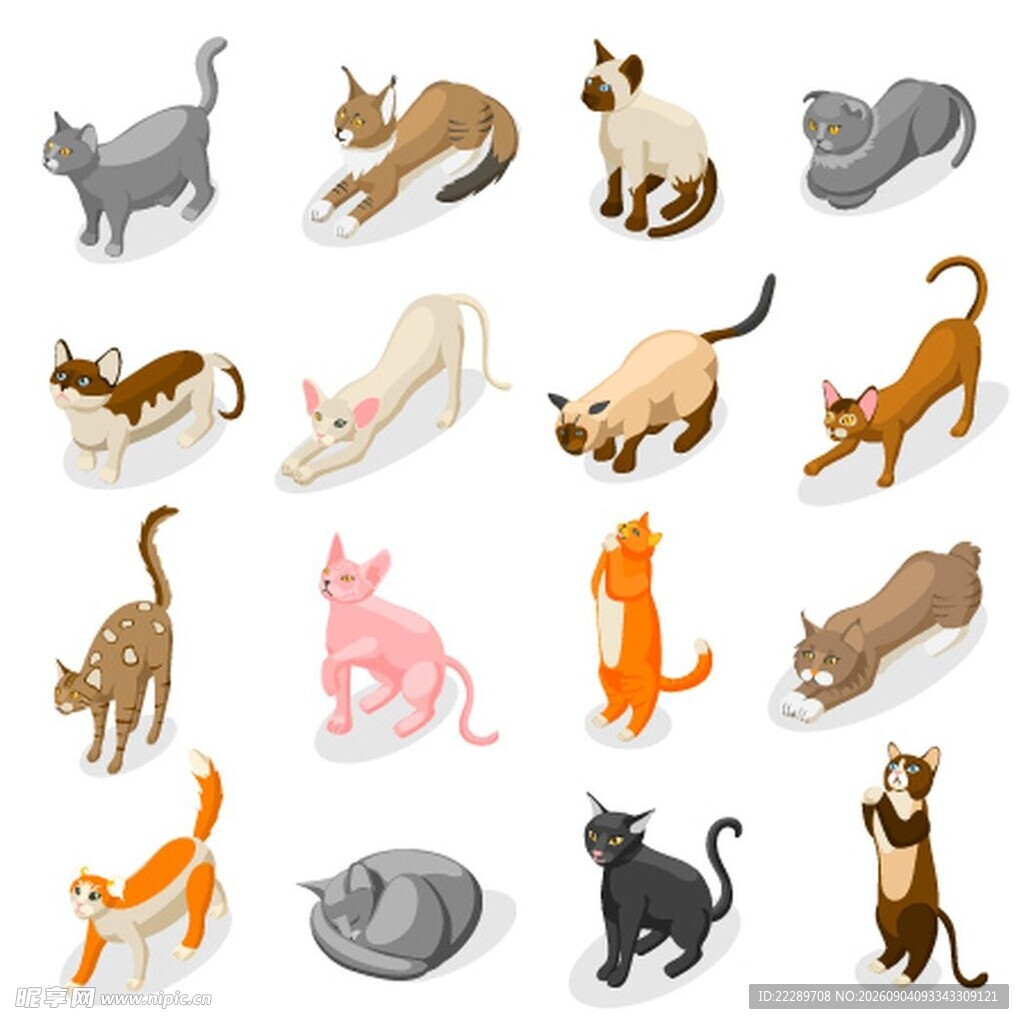 多样猫咪插画集合