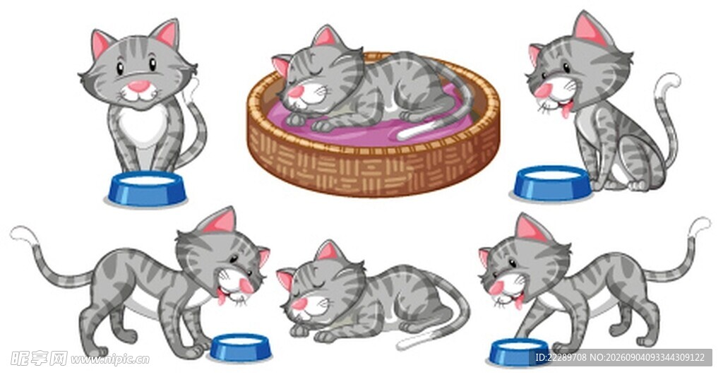 可爱猫咪的多样姿态