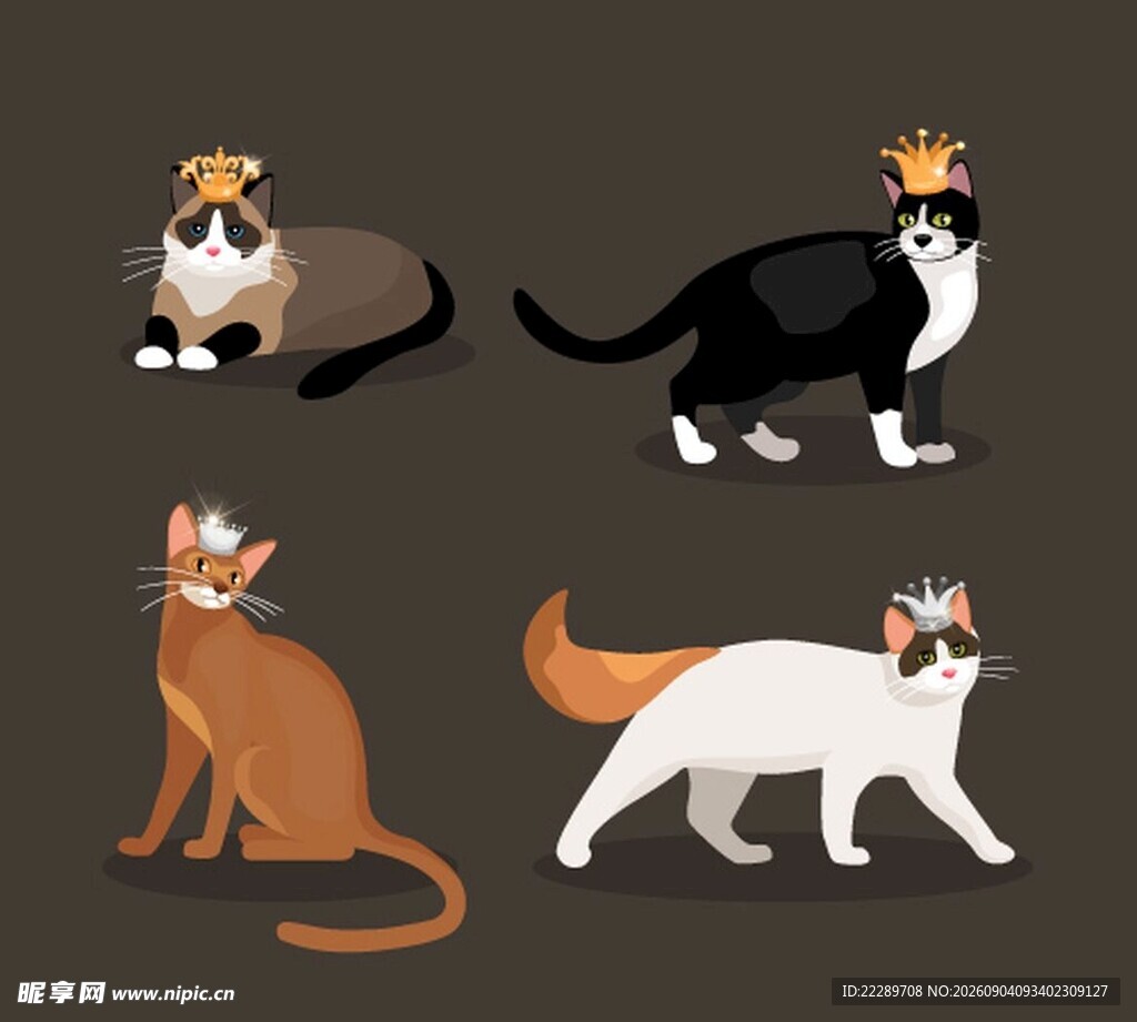 可爱猫咪集合