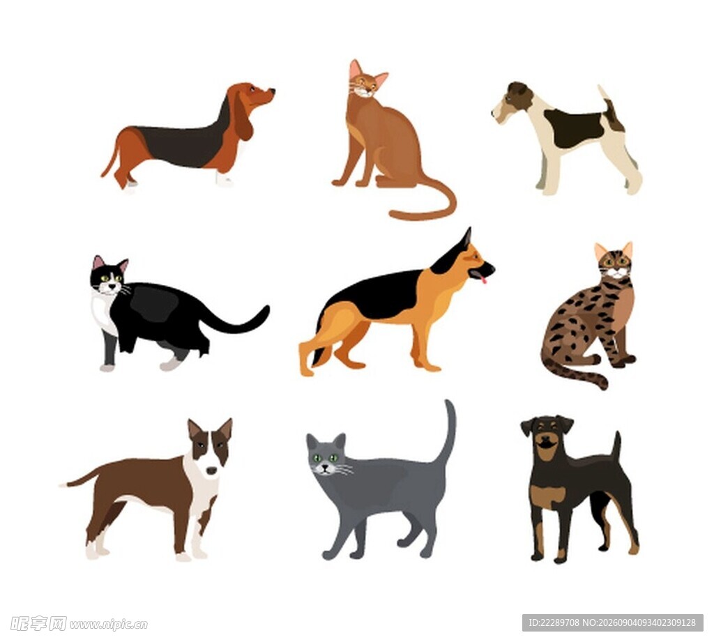 可爱猫狗插画集合