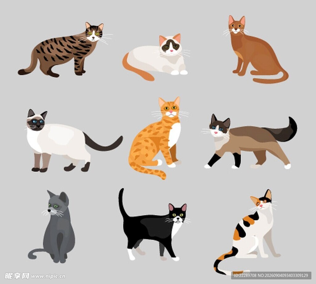 多样可爱猫咪插画集合