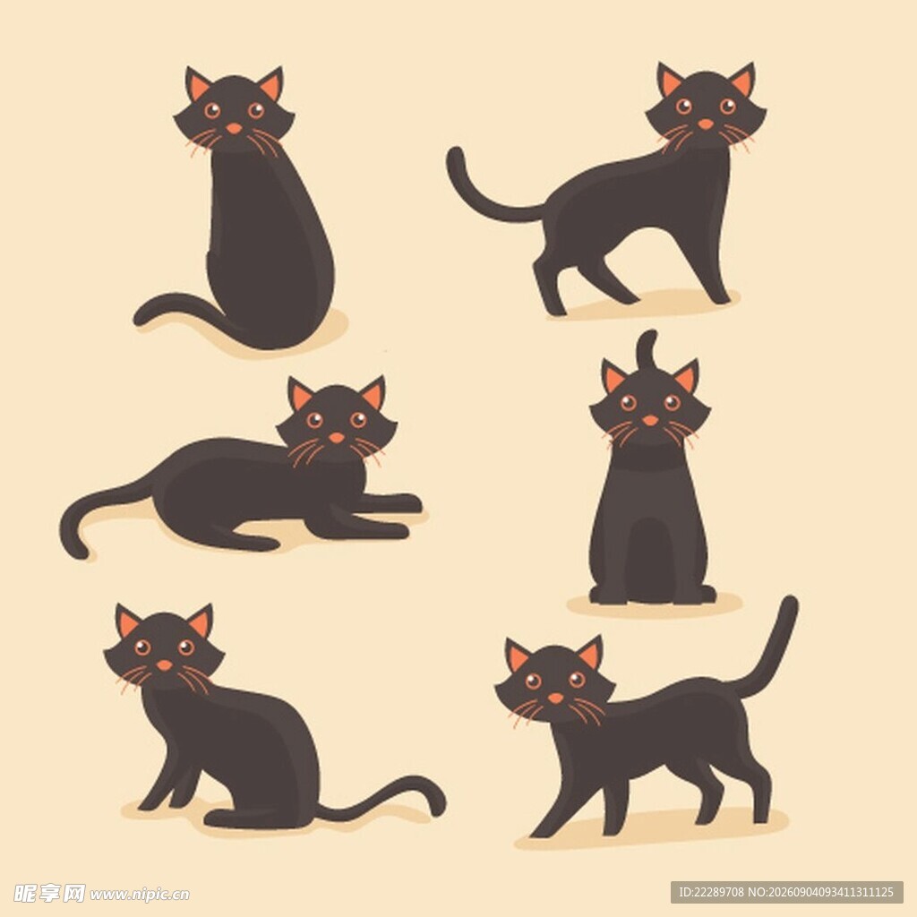 可爱黑猫的多样姿态