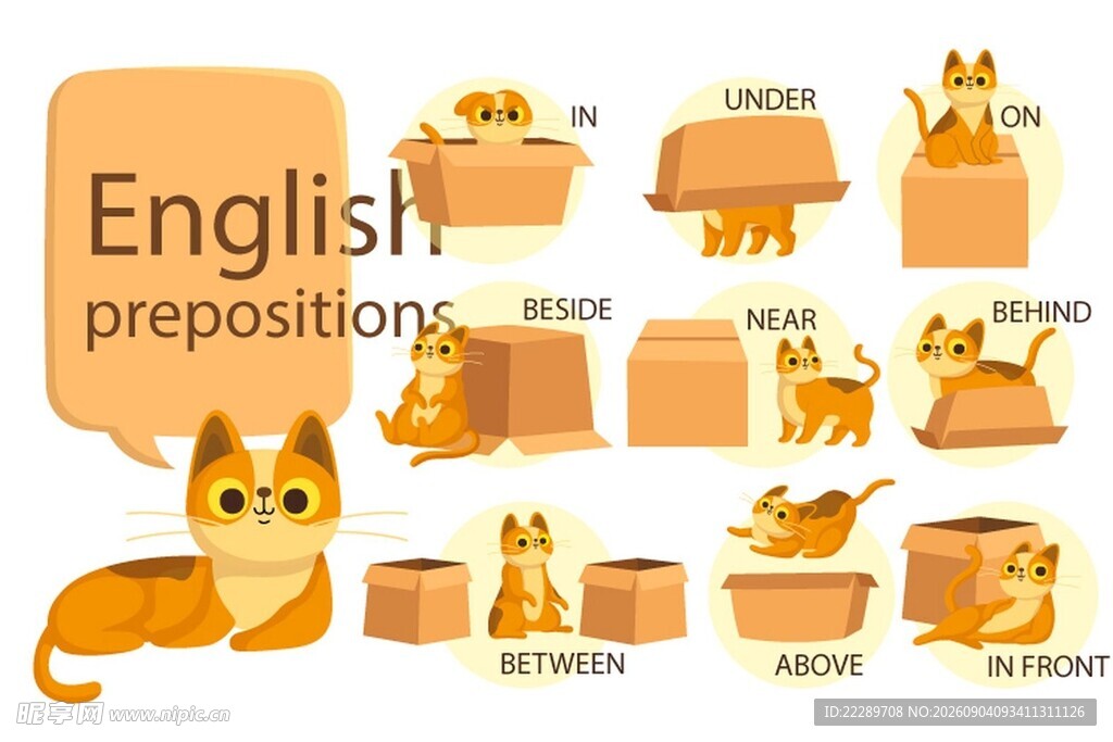 猫咪演示英语介词场景