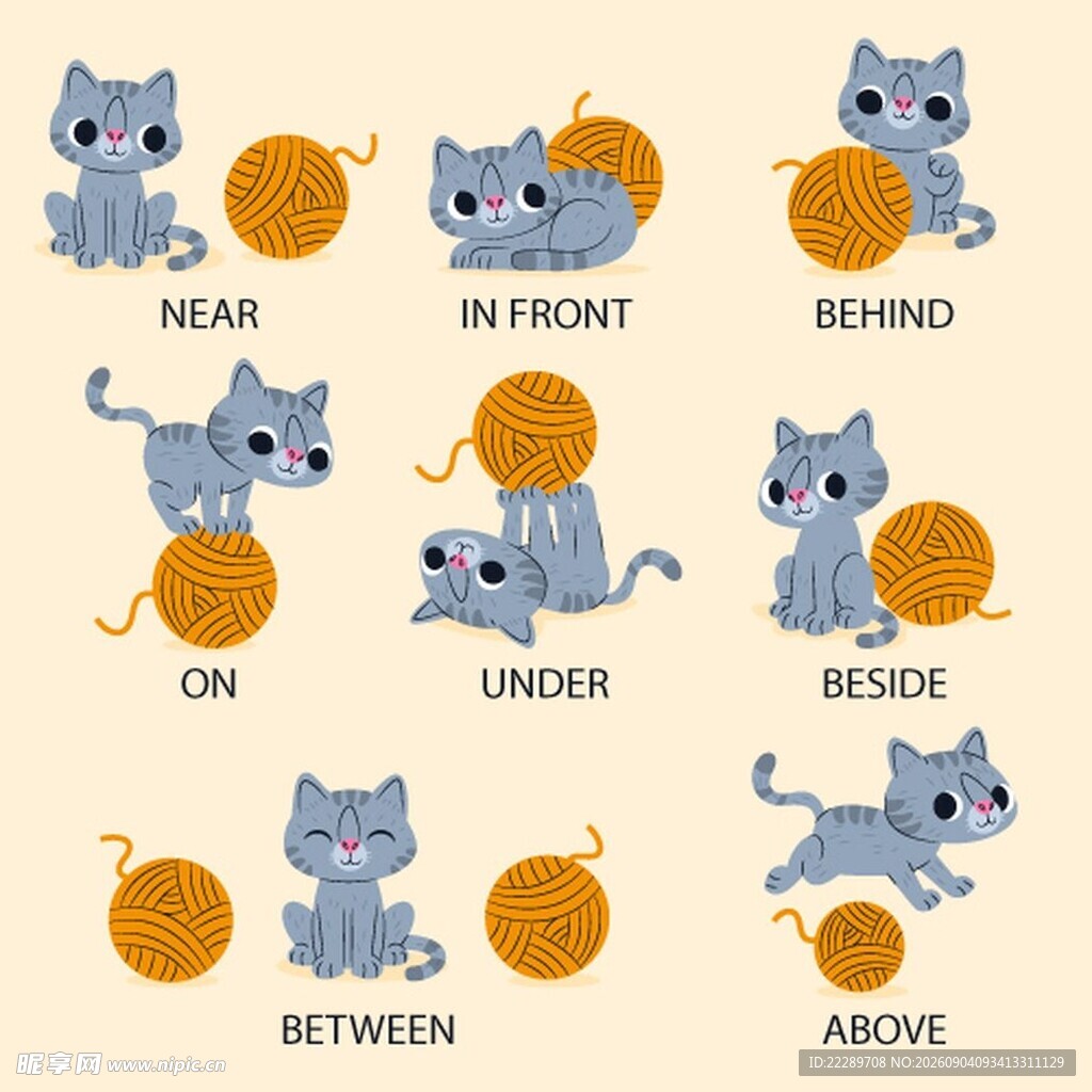 可爱猫咪与单词趣味展示