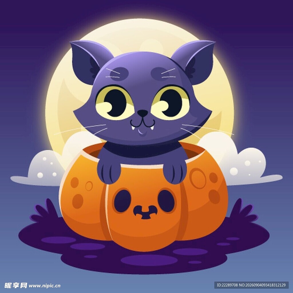 南瓜中的可爱黑猫