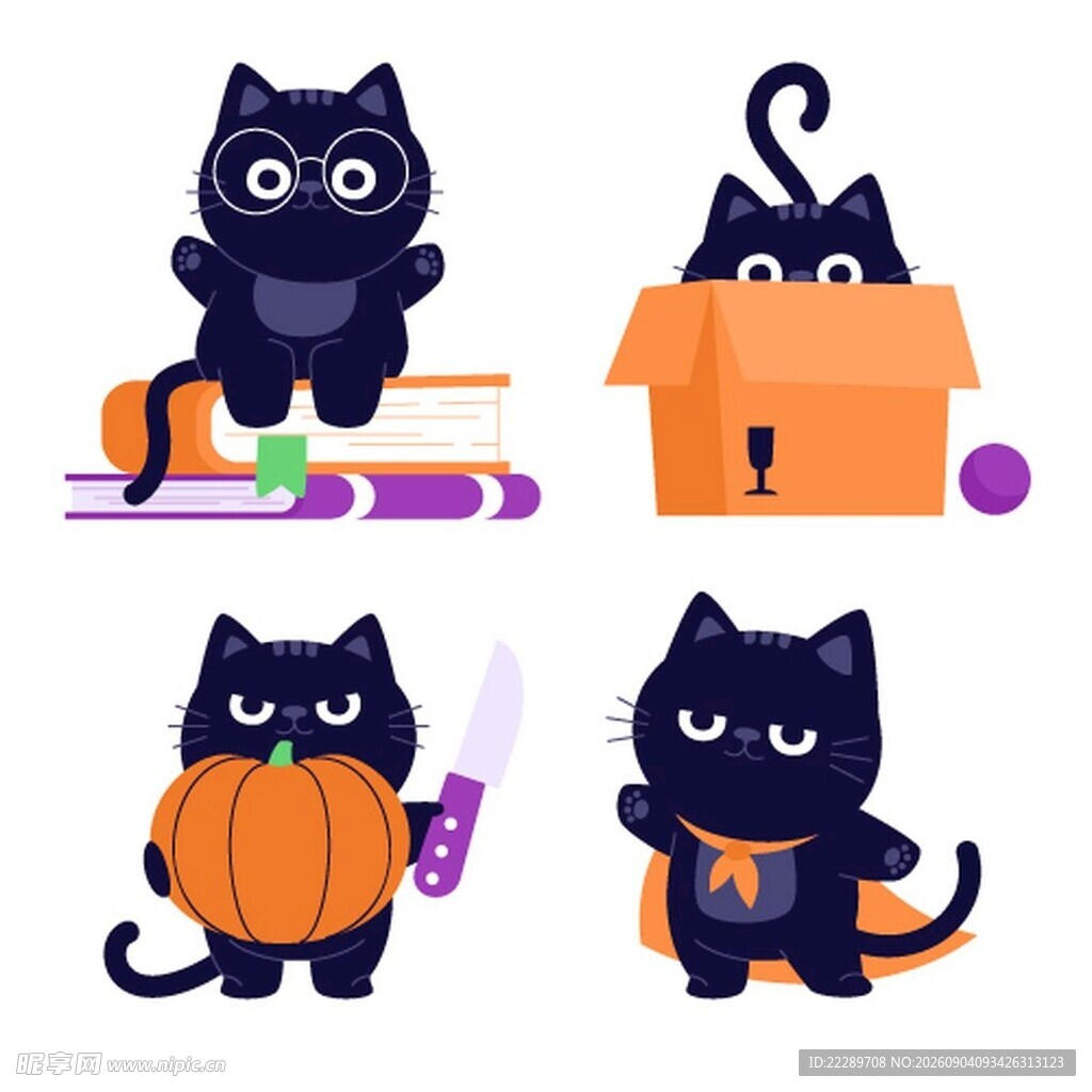 可爱黑猫的趣味日常瞬间