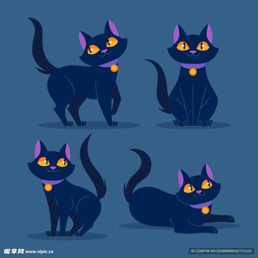 四姿黑猫插画