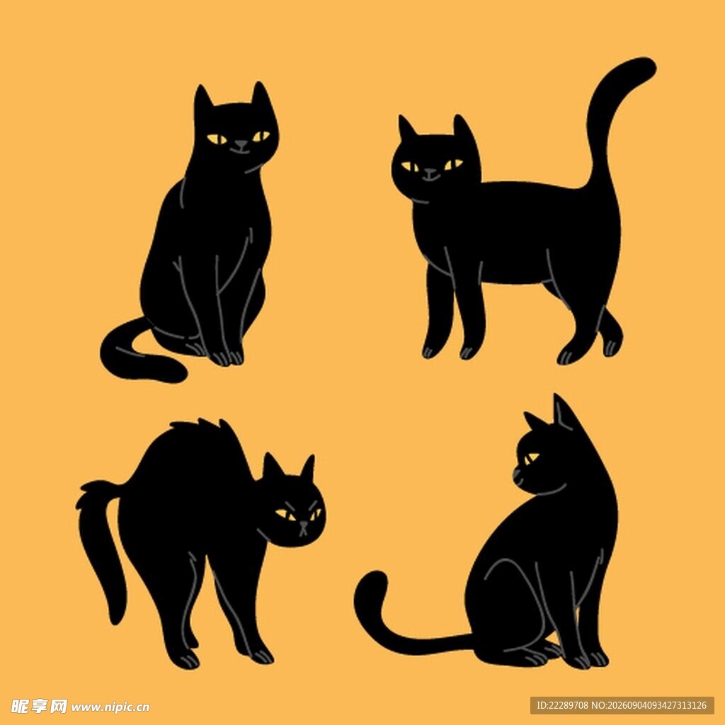 黑猫姿态集合