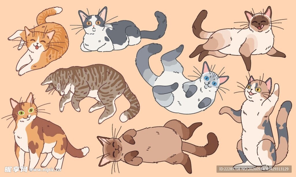 可爱猫咪集合