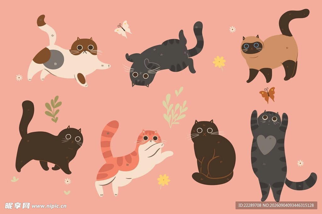 可爱猫咪姿态集合