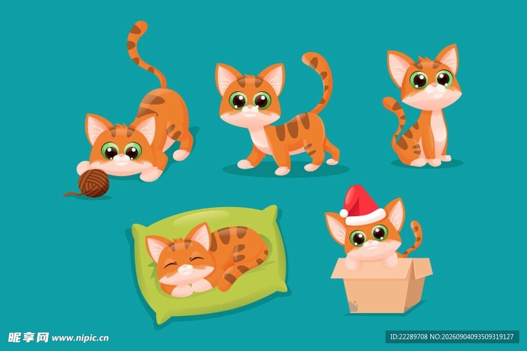 可爱猫咪与趣味小物