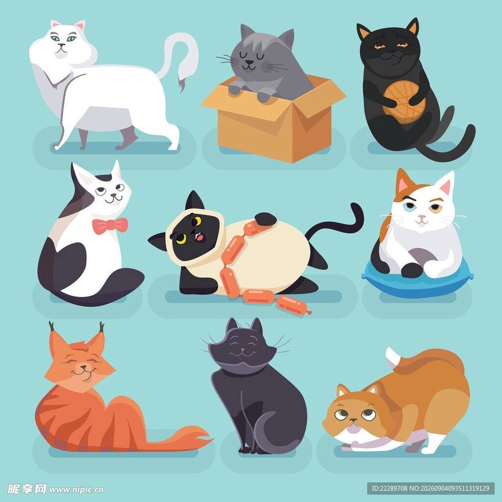 可爱猫咪大集合