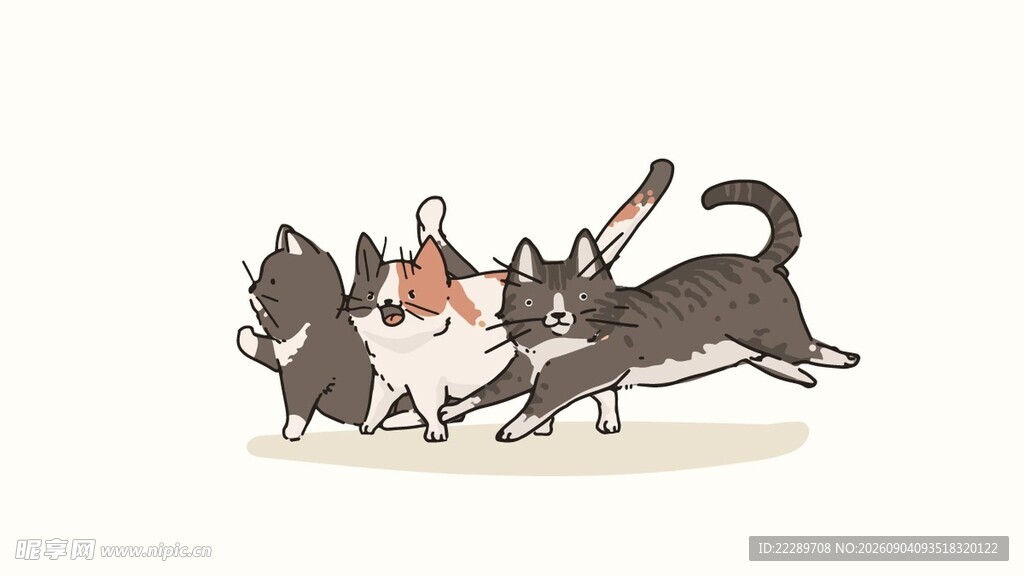 猫咪欢乐玩耍瞬间