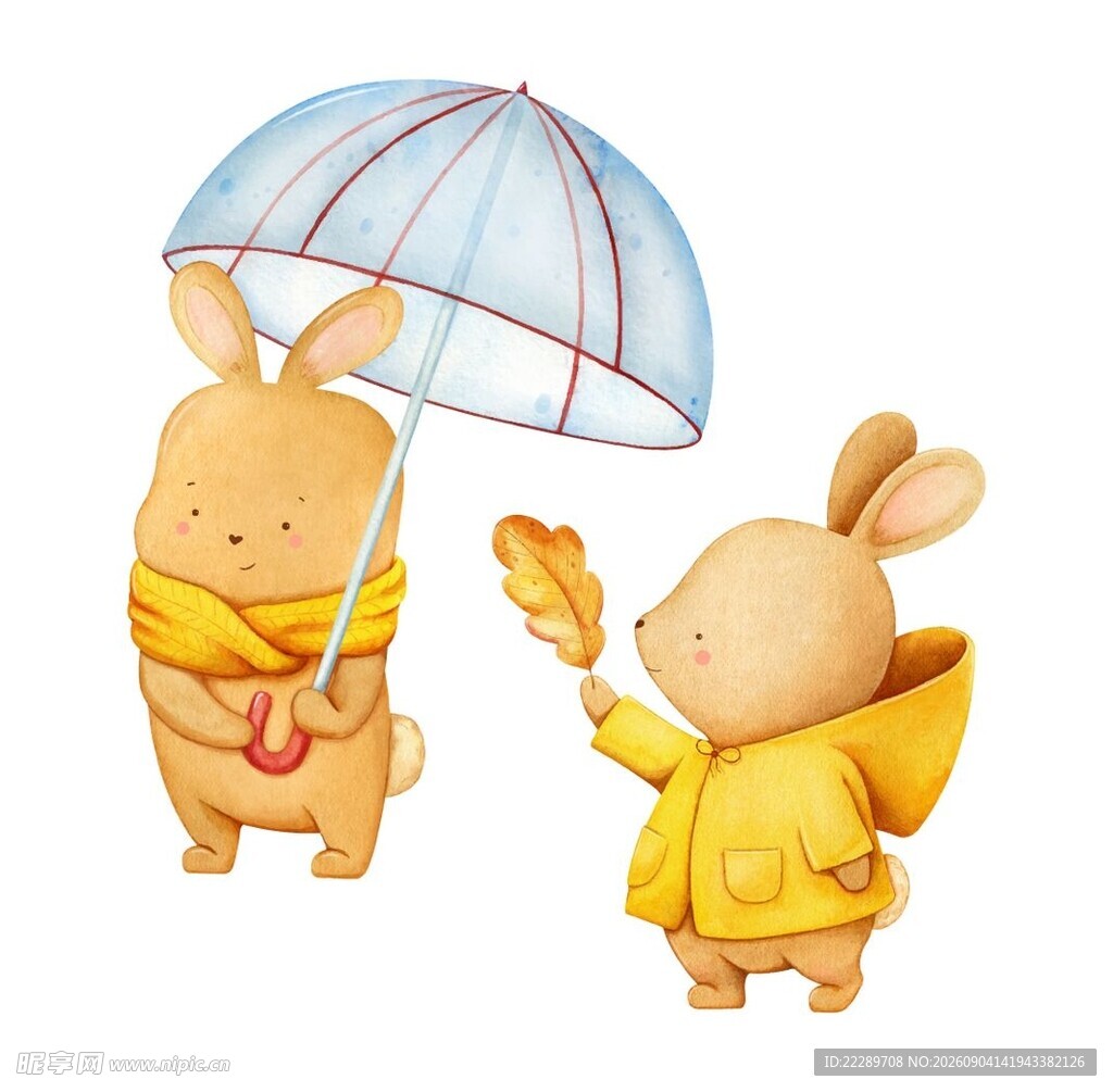 雨中萌兔共撑伞