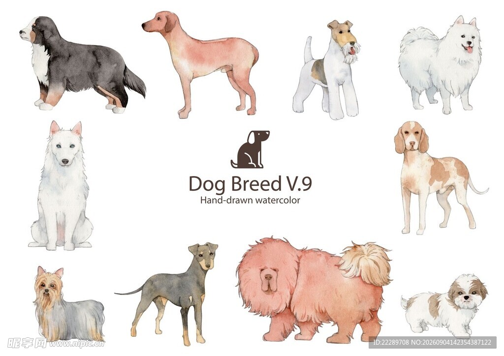 多样犬种展示