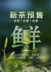 新茶预售