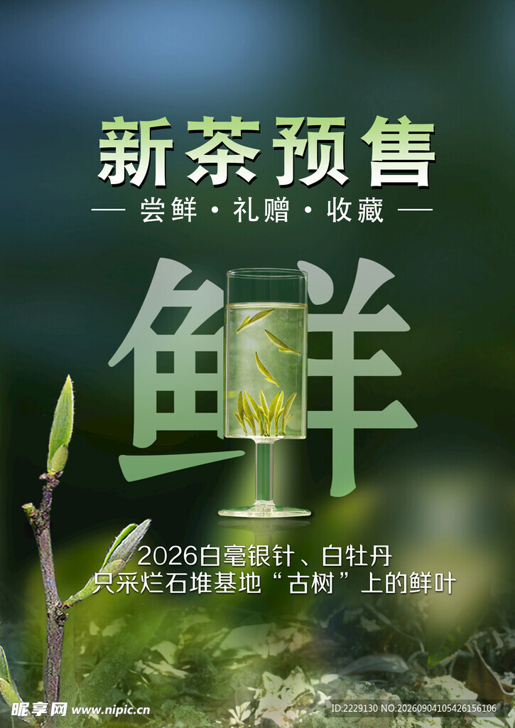 新茶预售