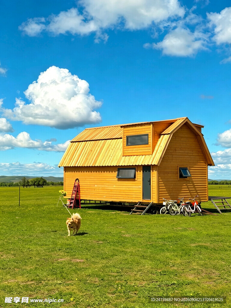 草原上的黄色小屋与小狗