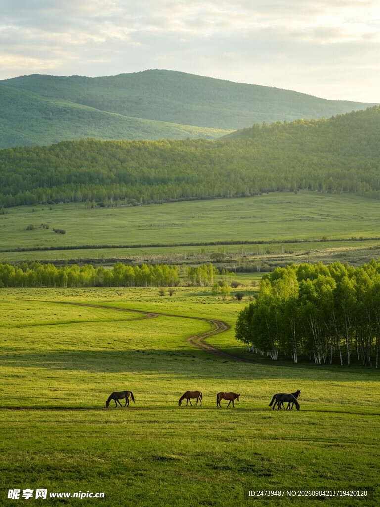 草原牧场景色