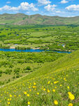 山间花海与河流美景
